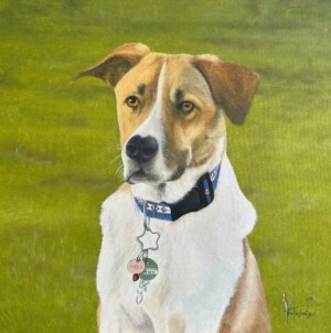 50cm x 50cm, Öl auf Leinen / oil on linen